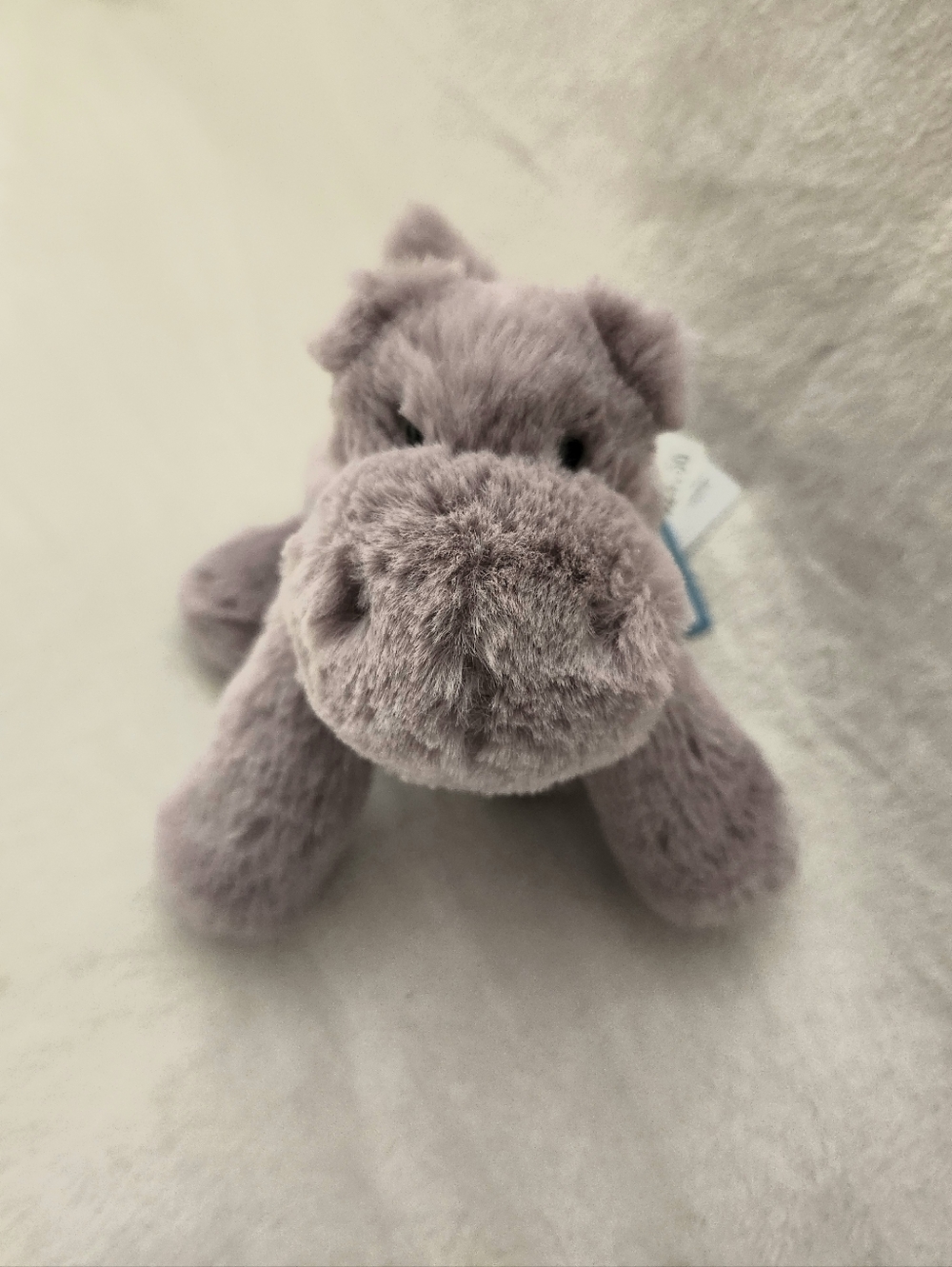 Jellycat Tiny Smudge Hippo 🦏